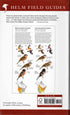 Field Guide to Birds of Eastern North America 2 ed - Sibley, D. 2020